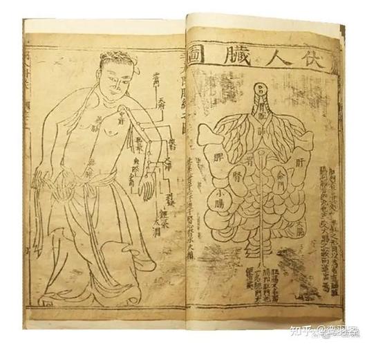 中医小故事 针灸铜人