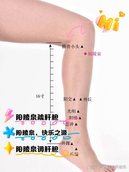 小腿肌肉萎缩针灸穴位