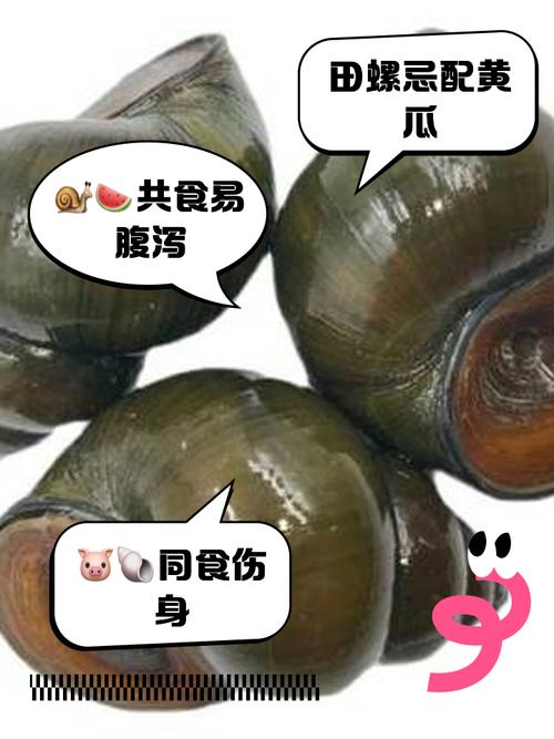 痛风好了吃淡水田螺吗