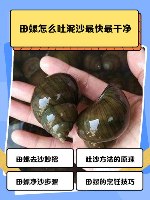 痛风好了吃淡水田螺吗