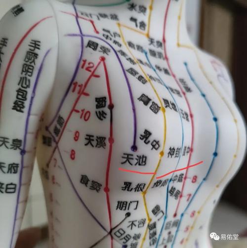 乳腺增生针灸哪些穴位