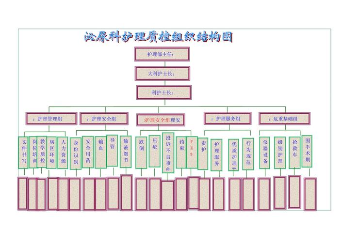 护理质量与安全管理组织