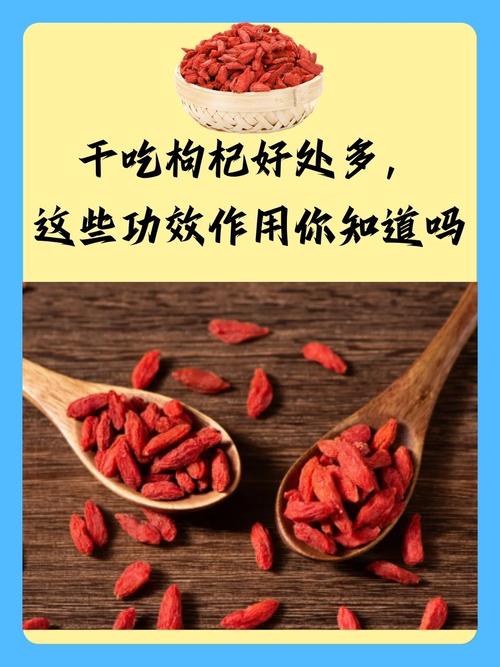 吃枸杞对痛风有好处吗