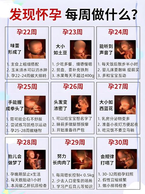 双胎过了多少周就安全了