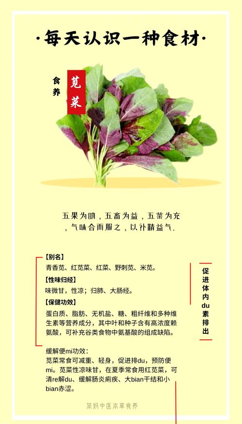 痛风关节炎能吃苋菜吗