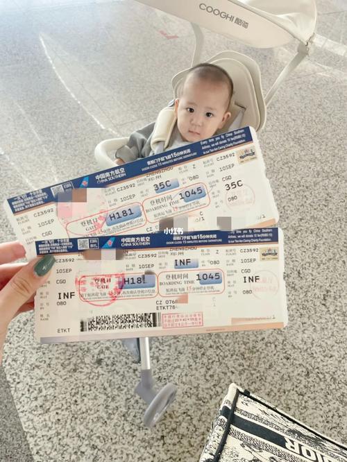 婴儿 飞机 安全座椅