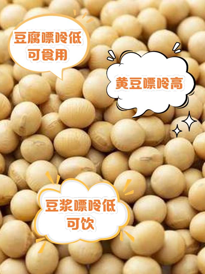 痛风可以吃什么豆制品