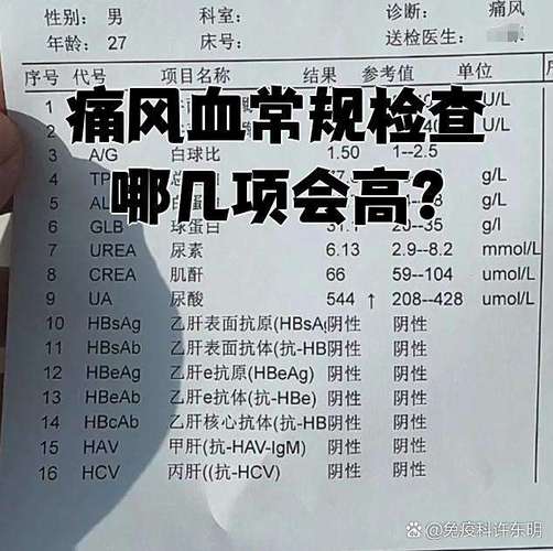 什么指标高能引起痛风