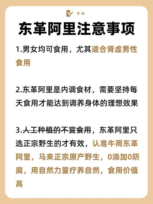 痛风怎样服用东革阿里