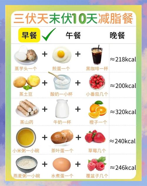 针灸减肥前三天的食谱