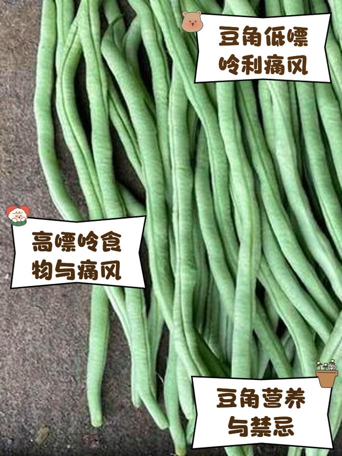 痛风是不是不能吃豆角