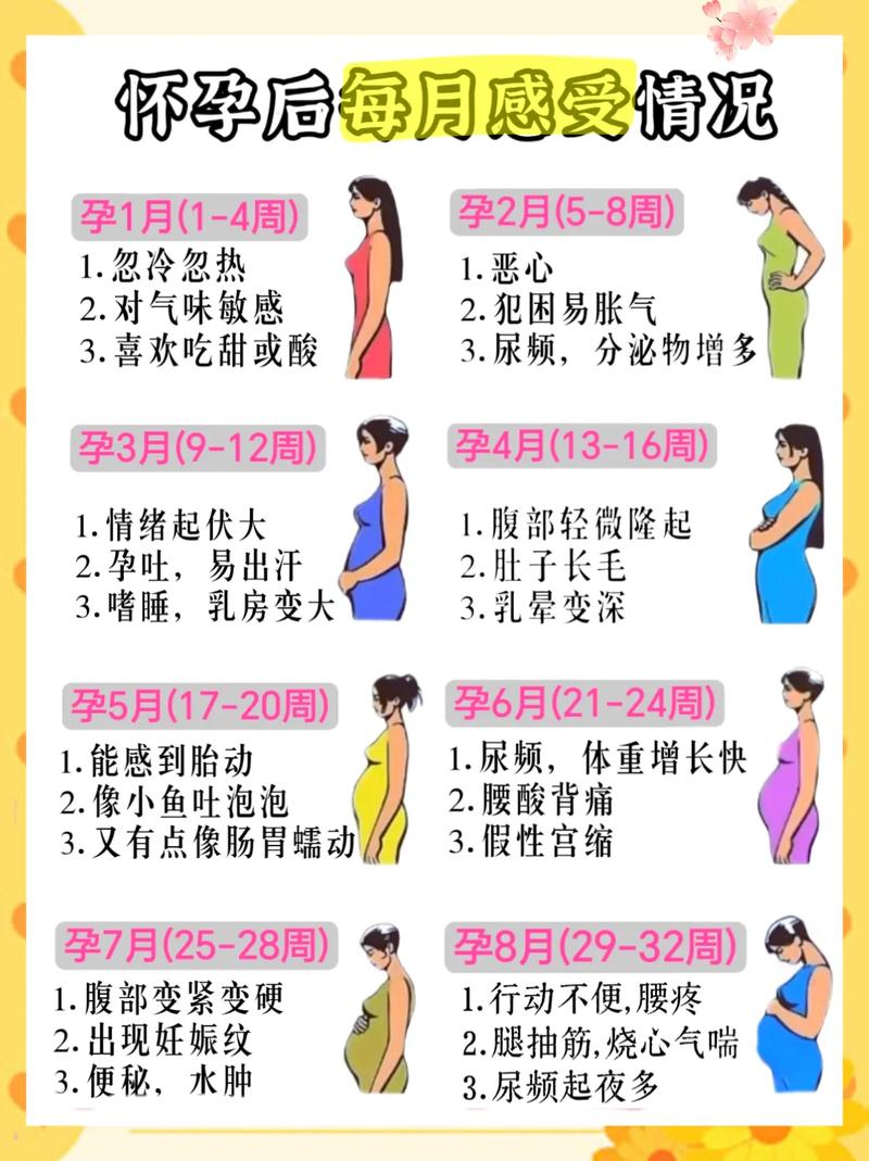 怀孕几个月是最安全的