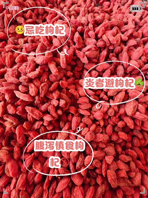 痛风患者可以吃枸杞吗