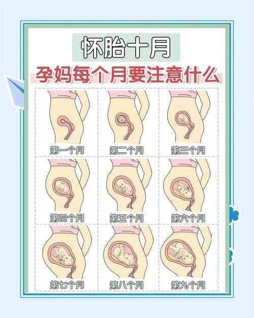 怀孕几个月后就安全了