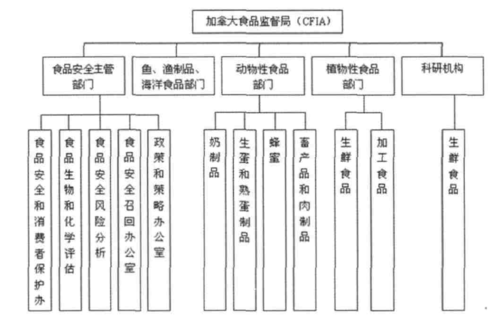 国家食品安全监管体系