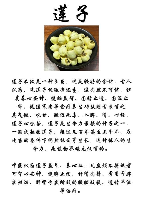 痛风的人可以吃莲子吗