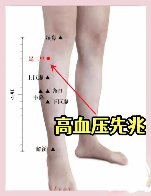 针灸治疗高血压的穴位