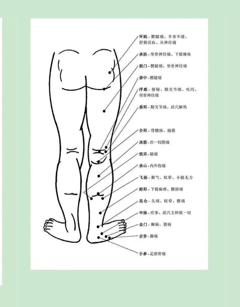 中医平衡针灸穴位图解