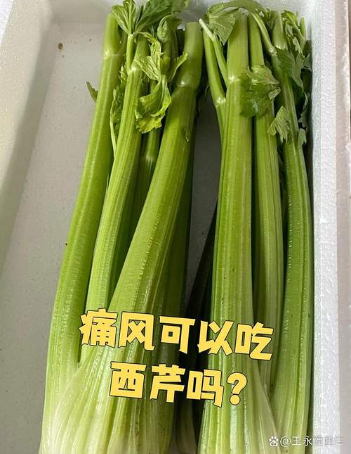 痛风的人能吃什么蔬菜