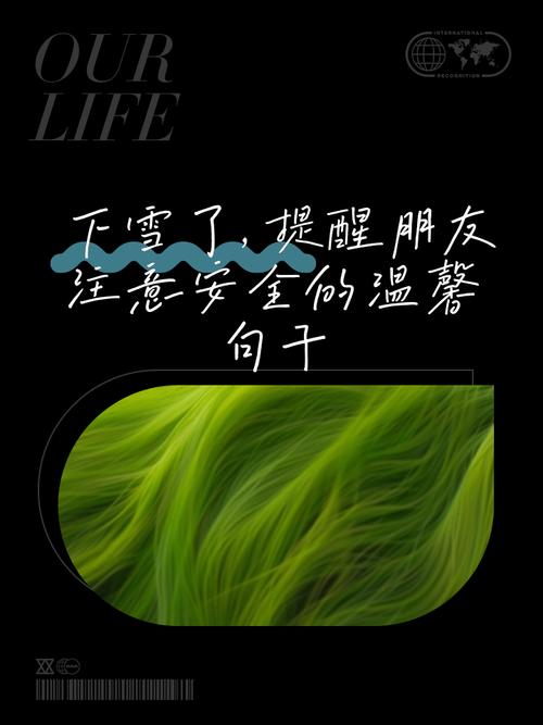 下雪了注意安全的句子