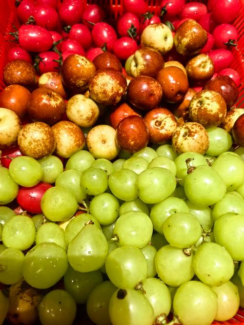 痛风脚痛吃什么水果好