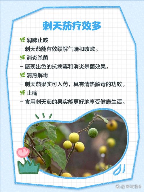 茄子对痛风有什么好处