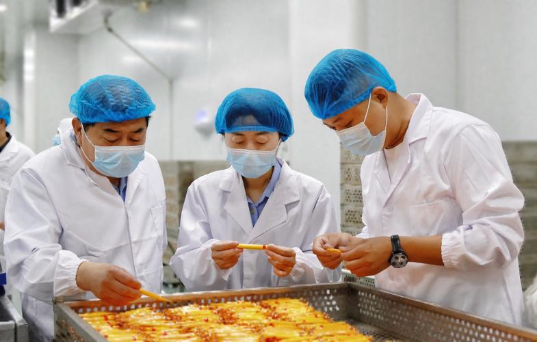 食品安全执法素质测试