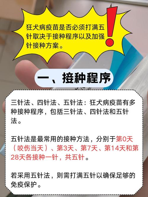 打了狂犬疫苗就安全吗