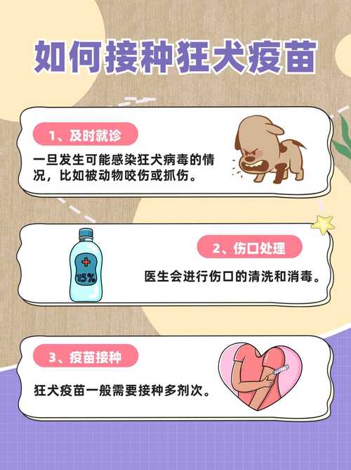 打了狂犬疫苗就安全吗