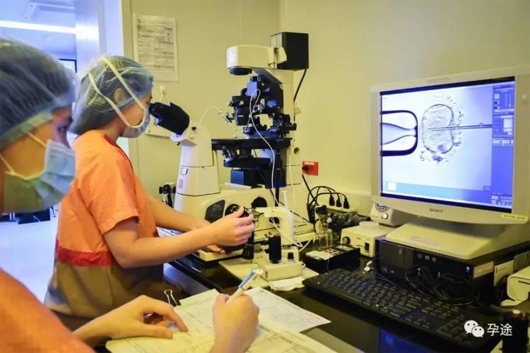 哪家医院试管婴儿安全