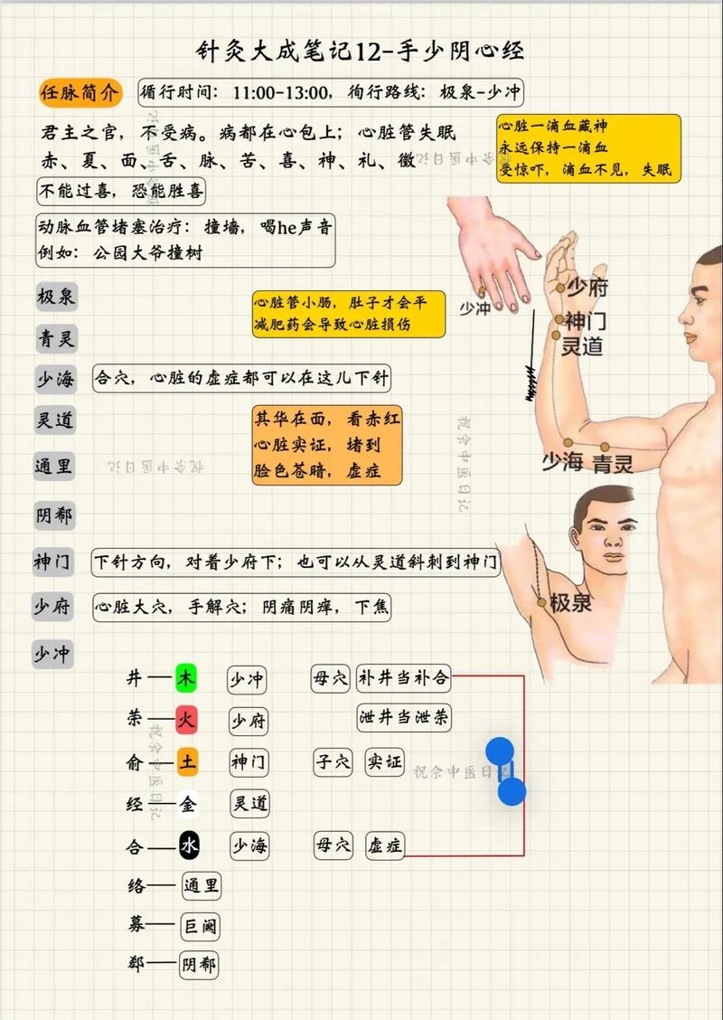 针灸丰胸一疗程多少钱