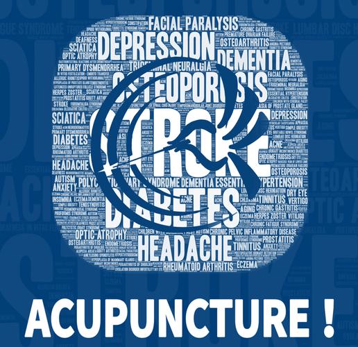 世界针灸杂志 英文版