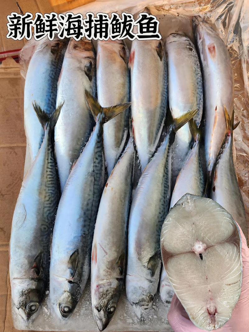 痛风患者可以吃鲅鱼吗