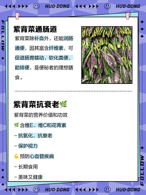 痛风为什么不能吃紫菜