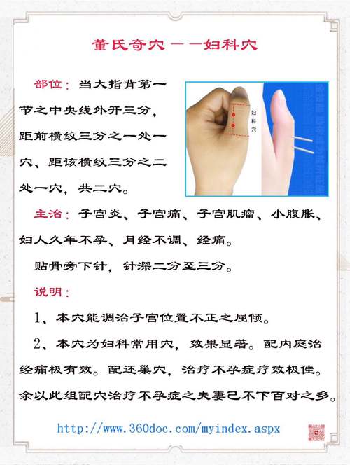 子宫下垂针灸什么穴位