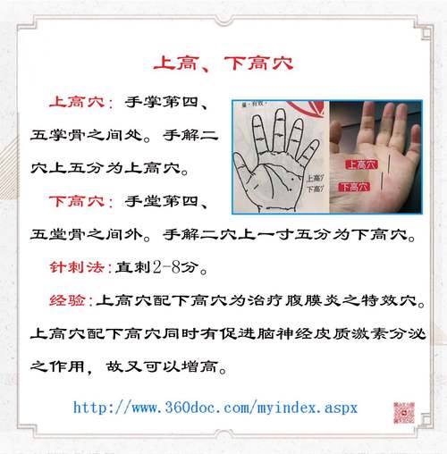 董氏针灸注疏 pdf