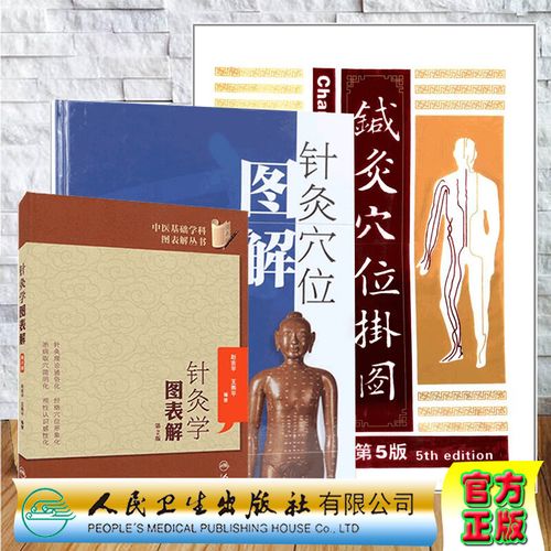 针灸穴位挂图 pdf