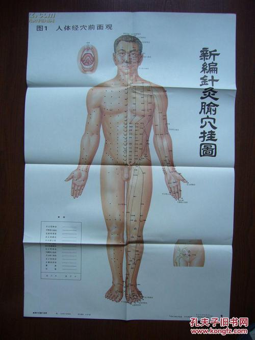 针灸穴位挂图 pdf