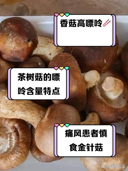 痛风患者可以吃蘑菇吗