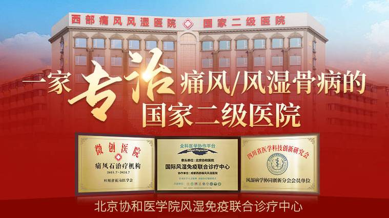 成都哪家医院医痛风好