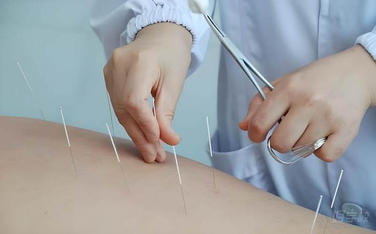 潍坊国际中医针灸推拿