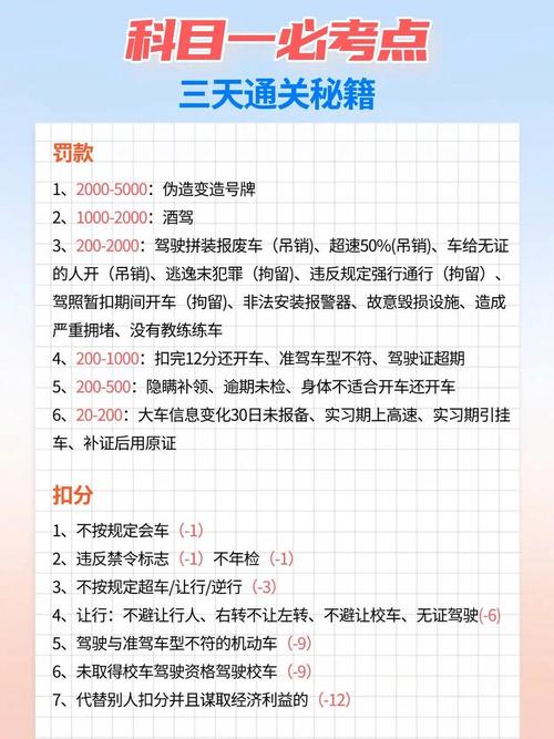 2026安全带扣几分