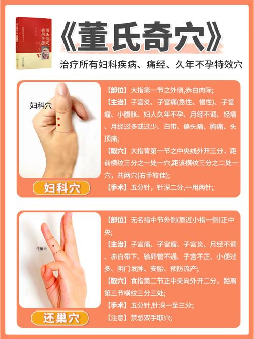 董氏奇穴针灸 PDF