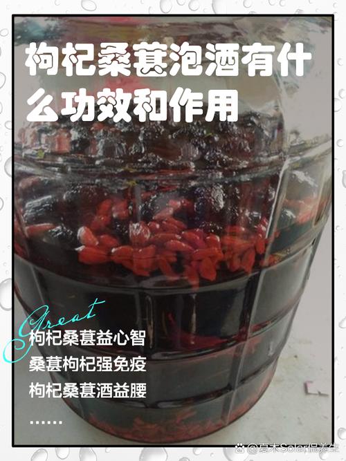 桑果泡什么可以治痛风