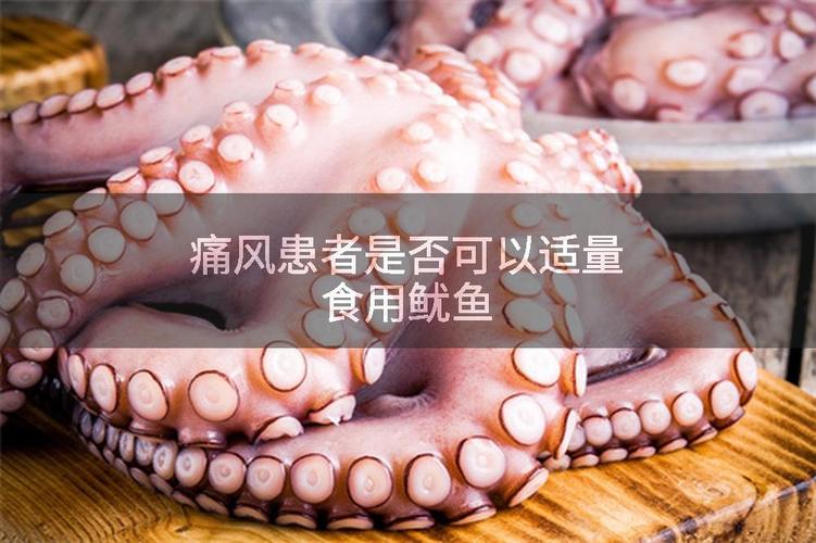 痛风患者可以吃鱿鱼吗