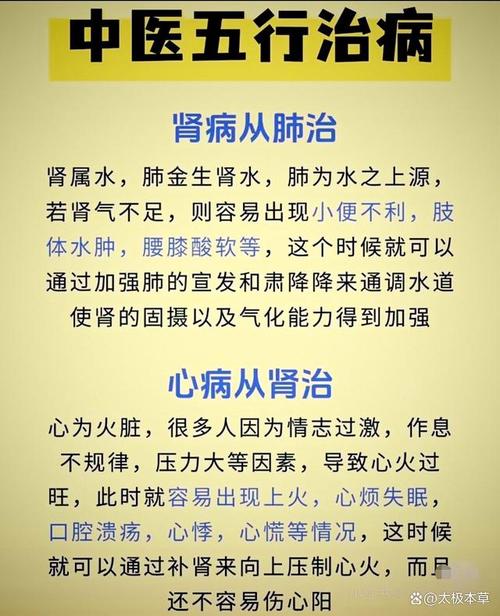 五行针灸的原理与运用