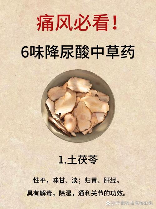 治痛风最好的中药配方