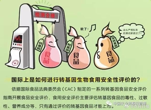 转基因食品是不安全的