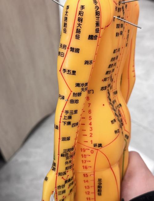 来例假可以针灸肩颈吗