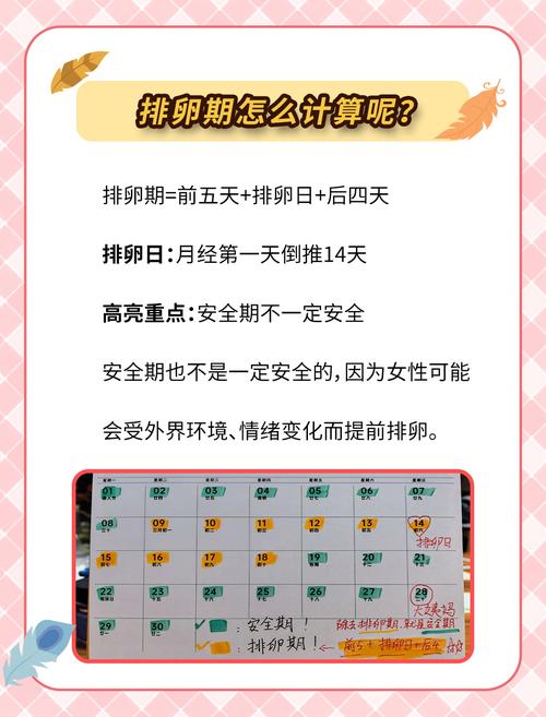 安全期和危险期的算法